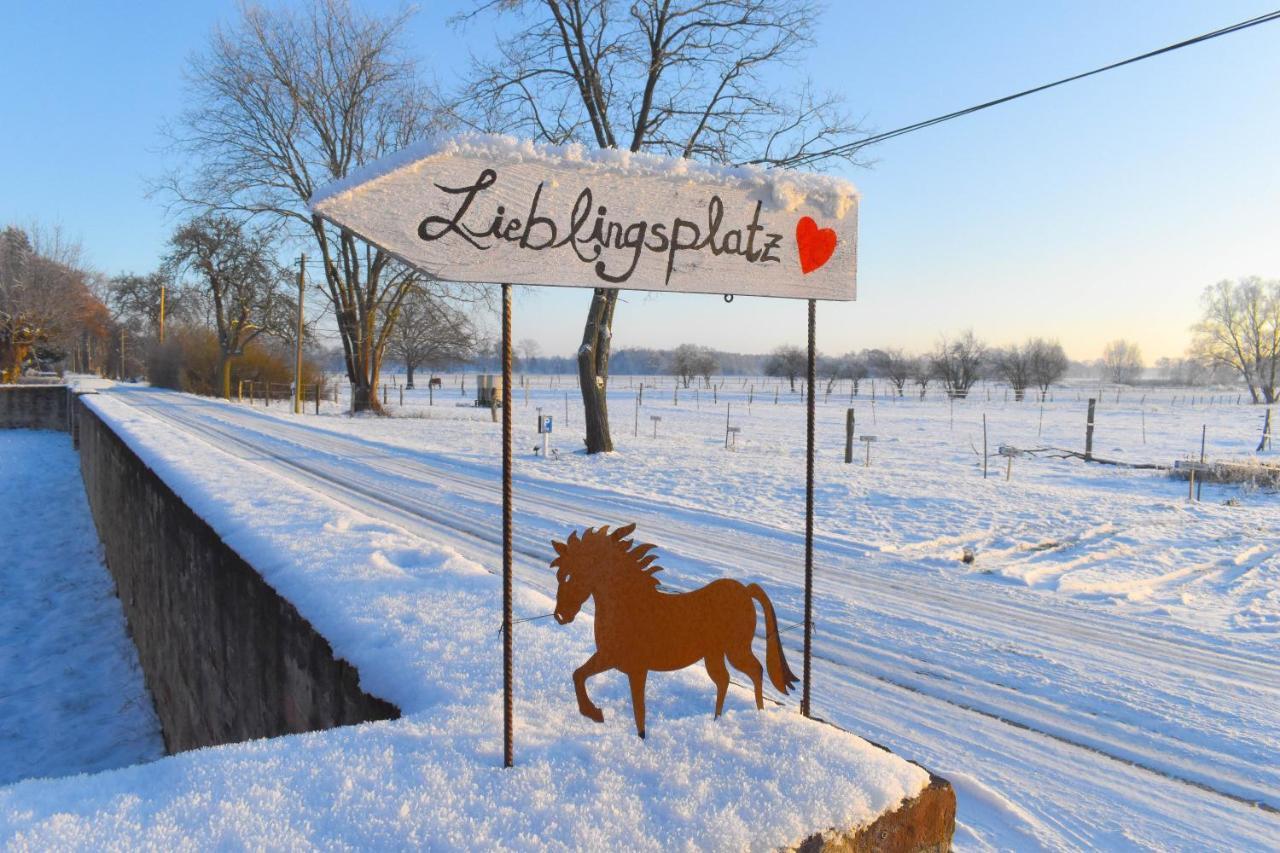 Ferienwohnung Auf Pferdehof Dreetz Zewnętrze zdjęcie