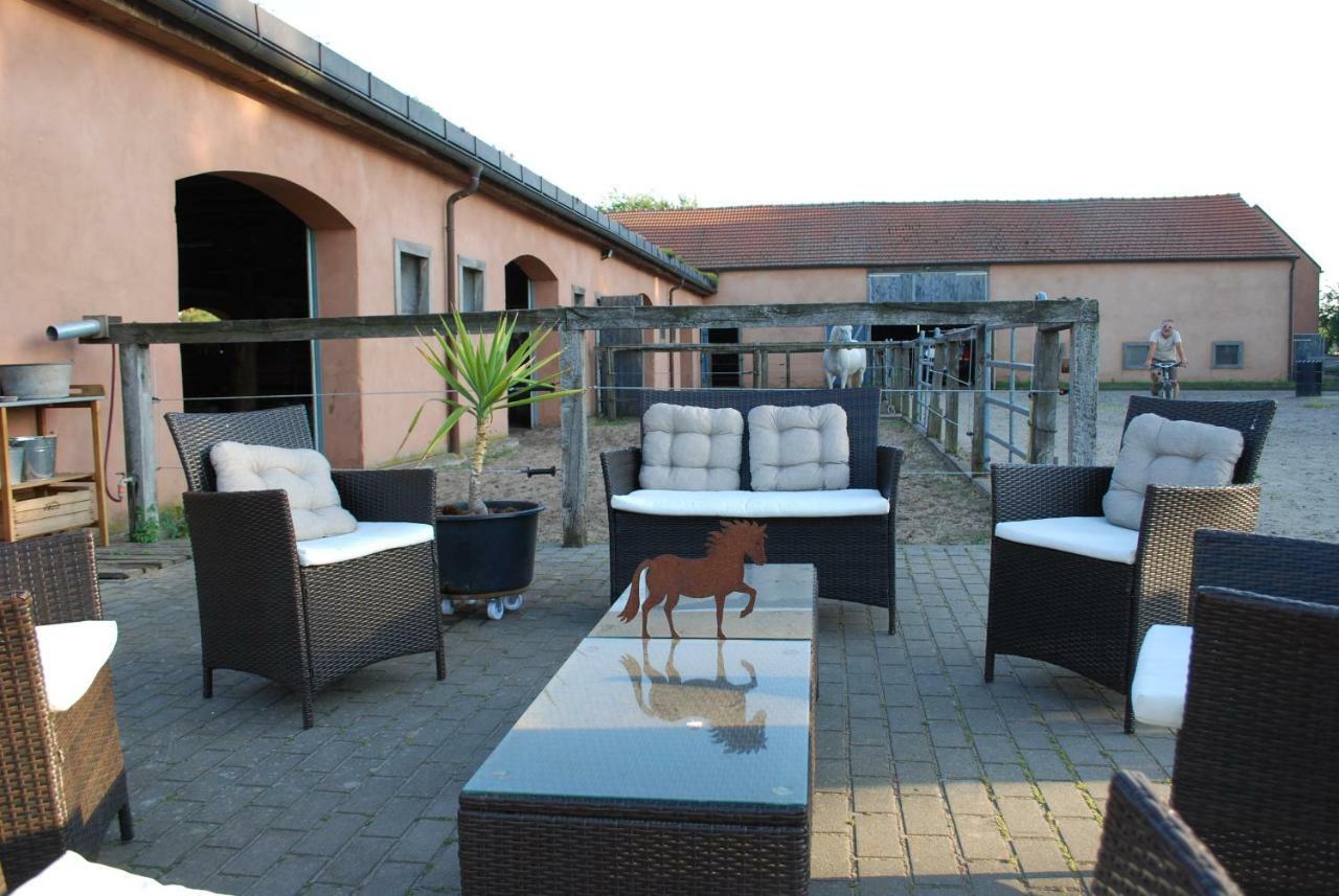 Ferienwohnung Auf Pferdehof Dreetz Zewnętrze zdjęcie