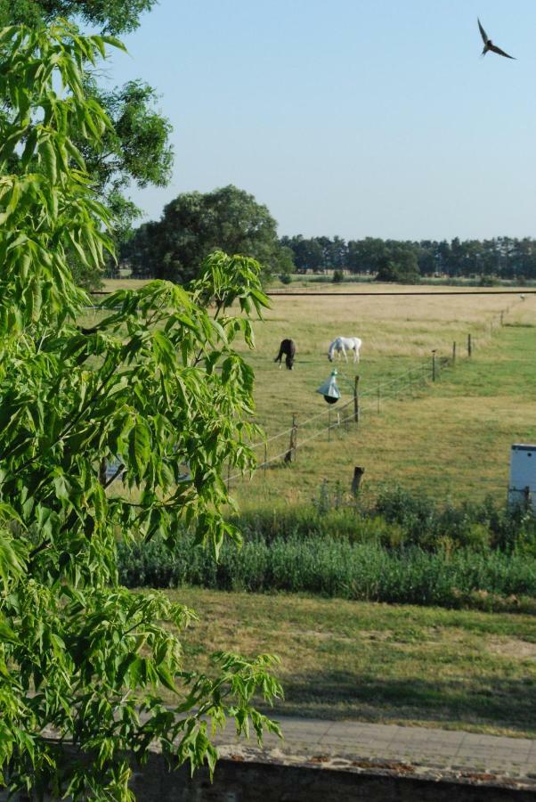 Ferienwohnung Auf Pferdehof Dreetz Zewnętrze zdjęcie
